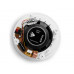 Amate Audio CS6FR